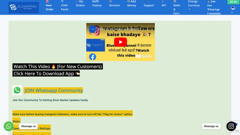BlueSMMPanel.com screenshot