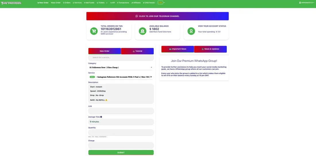 TheMainSMMProvider.com screenshot