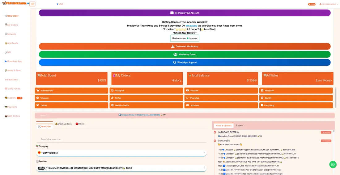 TheProviderPanel.com screenshot